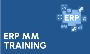ERP SAP MM Training in Gurgaon
