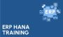 ERP SAP HANA Training Course in Gurgaon