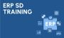 ERP SAP SD Training Course in Gurgaon