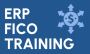 ERP SAP FICO Training Institute in Gurgaon