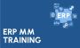ERP SAP MM Training Course in Gurgaon