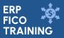ERP SAP FICO Training in Gurgaon