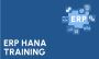 ERP SAP HANA Training Institute in Gurgaon