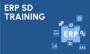 ERP SAP SD Training in Gurgaon