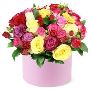 Handy Flowers ,Flowers of Every Occasion