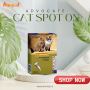 Advocate Cat Spot On, 0.8ml - Flat 12% OFF - Free Shipping -