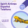 Spirit Airlines Español Teléfono | +1-845-459-2806