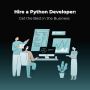 Hire a Python Developer: Get the Best in the Business