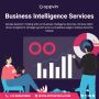 Business Intelligence Services
