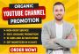 : I will do organic youtube promotion marketing for channel 