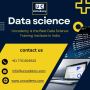 Becoming a Data Maestro: Next-Level Data Science Course