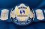 Buy WWF Winged Eagle Belt Replica