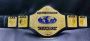 Buy Ultimate Wrestling Belts for Champions From ARM Champion