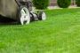 When Should You Cut New Sod