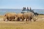 Advantages of Choosing the Best African Safari Tours