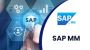 Best ERP SAP MM Training Course in Noida with Placement Assi