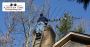 A Comprehensive Chimney Care Guide for Chimney Owners