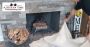 A Comprehensive Guide to the Most Common Fireplace Repair - 