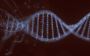 Advancements in Gene Editing and Ethics
