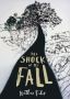 Nathan Filer - The Shock of the Fall ebook