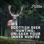 Join Us for Deer Hunting in Scotland - South Ayrshire Stalki