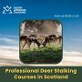 Effective Deer Management in Scotland: Balancing Conservatio