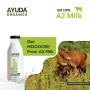 Find Fresh and Organic A2 Milk Near You For a Healthier Choi