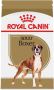 Delicious Royal Canin Boxer Wet Food in New York - A Perfect