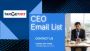 Top CEO Email List Providers in USA-UK