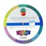 Buy Color Mixing Guide online in UAE