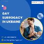 Gay surrogacy in Ukraine