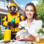 Wasp Nest Removal Aurora – Same Day Service Wasp Nest Removal Aurora – Same Day Service