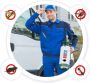 Pest Control Maple– Same Day Service Pest Control Maple– Same Day Service
