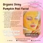 Organic Pumpkin Peel Facial