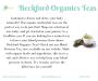 Buy Blood Pressure Tea by Beckford Organics Teas