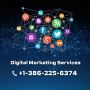 Digital Marketing Services in Florida 
