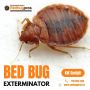 Bed Bug Service KW Guelph