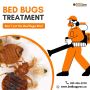 Bed Bugs Treatment Ancaster