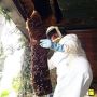 Bee Removal Company Los Angeles