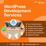 Power Up Your Website With BeePlugin's WordPress Development
