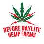 Best Organic CBD Hemp flowers and products | Before daylite 