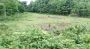 A Large Land is available for Sale in Alipurduar For Resorts