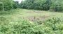 Big Land Available For Sale For Resort Purpose At Alipurduar