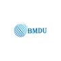 BM Digital Utilization is The Best SEO Company in Noida