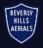Beverly Hills Aerials