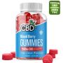 CBD Gummies – 1500mg CBD