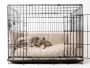 Top Picks: The Best 7 Dog Crates for Large Dogs on the Marke