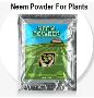 Prime Planting Time: Neem Powder—Low Prices!