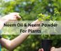 Winter Special: Premium Quality Neem Oil for Plants!