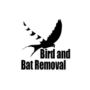Effective Bat Pest Control in Richmond | Bird and Bat Remova